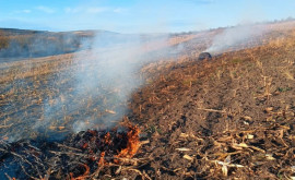 Ardere ilegală a deșeurilor la Rezina
