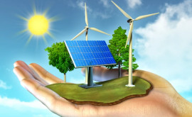 Упрощены процедуры связанные с разработкой проекта в сфере возобновляемой энергии