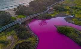 Apa unui lac din Hawaii a devenit roz