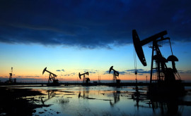 Семь энергетических компаний пострадали от разлива нефти в Мексиканском заливе