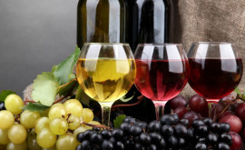 Молдавская винодельческая продукция будет легче поступать на рынок ЕС