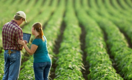 Guvernul creează premise pentru susținerea afacerilor agricole de familie