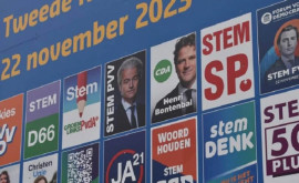 Cine a învins în alegerile din Olanda 
