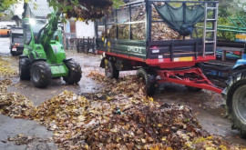Кишинев стал чище Из столицы вывезли прицепы с листвой и строительным мусором 