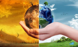 Власти Молдовы сосредоточат усилия на адаптации агросектора к изменению климата