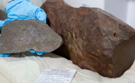 Австралиец нашел ценный метеорит