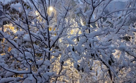 În pragul miracolului frumoasa iarnă în obiectivul fotografului