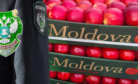 Rosselkhoznadzor introduce din nou restricții privind importul fructelor moldovenești