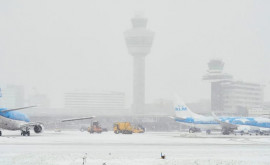 150 de zboruri anulate pe Aeroportul Amsterdam Schiphol din cauza ninsorilor
