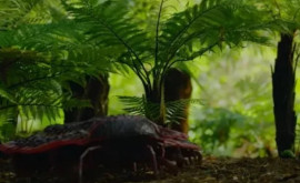 Cît o mașină Netflix a prezentat o reconstituire a unui miriapod uriaș care a trăit pe Pămînt acum 300 de milioane de ani