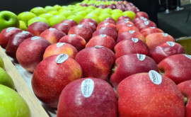 În luna noiembrie exportul de mere a scăzut în Moldova 