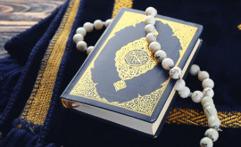 В Дании запретили сжигать Коран Что грозит нарушителям