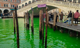 Воды в Венеции окрасились в зеленый цвет