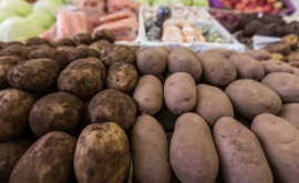 Молдова главный импортёр украинского картофеля 