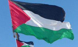 Patru state UE insistă pentru recunoașterea Palestinei
