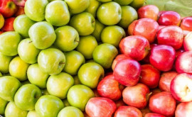 Cîte mere au mai rămas în depozitele de fructe din Moldova pentru vînzare 