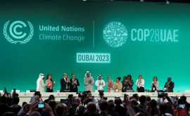 Участники саммита COP28 договорились о поэтапном отказе от ископаемого топлива