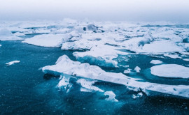 В Арктике зафиксировали самое теплое лето за всю историю наблюдений