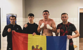 Новые победы профессионального бокса Молдовы