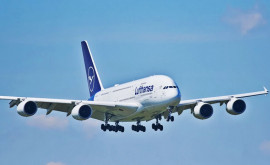 Lufthansa требует компенсаций от климатических активистов изза их протестов