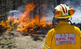 Мощный пожар вспыхнул в Австралии 