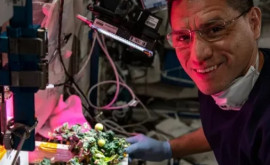 На МКС нашли потерянные год назад выращенные в космосе помидоры