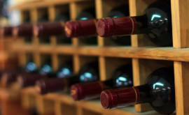Каков вклад винодельческой промышленности в экономику Молдовы 