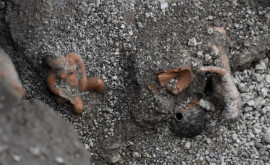 Descoperire neobișnuită în mijlocul ruinelor de la Pompei