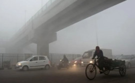 Густой туман нарушил воздушное сообщение в одной из азиатских стран