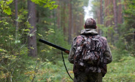 В Молдове планируется утвердить новые правила для охотников