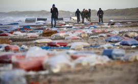 На пляжах Дании собирают холодильники обувь и колеса