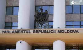 Количество законопроектов принятых парламентом Молдовы в декабре 2023 года
