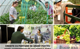 Новые гранты для женщинпредпринимателей в сельском хозяйстве 
