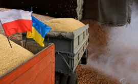 Решение Польши по импорту зерна из Украины