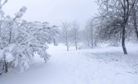 Наибольшее количество снега выпало в центральной части Молдовы