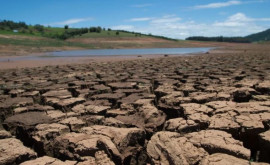 Изменения в Положении о планировании борьбы с засухой