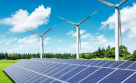 Licitațiilor pentru capacitățile mari de energie regenerabilă 