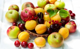 Creștere impresionantă a exportului de fructe
