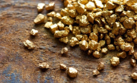 În Ciukotka au fost descoperite rezerve mari de aur 