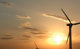 В 2023 году в Евросоюзе построили рекордное количество ветряных электростанций
