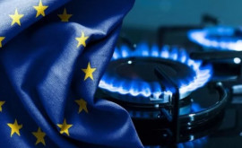 В Европе рухнули цены на газ несмотря на холод 
