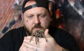 Мужчина шокировал коллекцией более 700 тарантулов