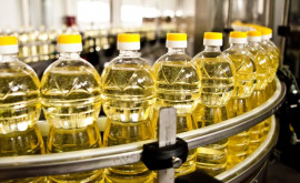 Moldova a exportat o cantitate record de ulei de floarea soarelui în 2023
