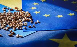 Еврокомиссия готовит предложения по агропродукции из Украины