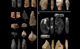 Măiestria anticilor Obiect de 45000 de ani găsit în China 