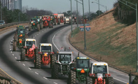Majoritatea francezilor susțin protestele agricultorilor 