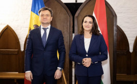 Дорин Речан встретился с президентом Венгрии Что они обсудили