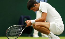 Джокович проиграл в полуфинале Australian Open