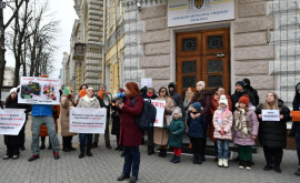 Протест у мэрии Родители требуют бесплатных групп продленного дня