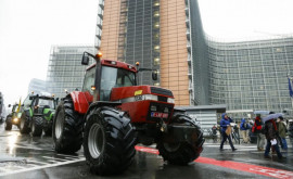 Fermierii belgieni vor să blocheze un port